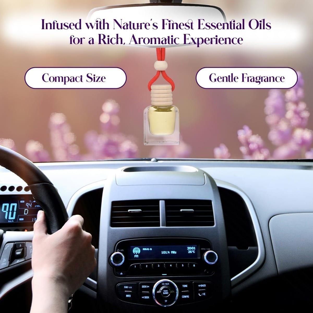 Hanging Car Perfume Pods Diffuser Scent (Assorted Perfume)